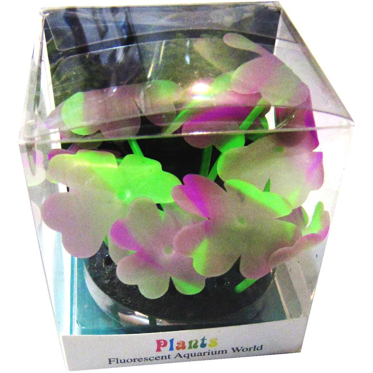 مرجان ژله ای پلنتس مدل fluorescent