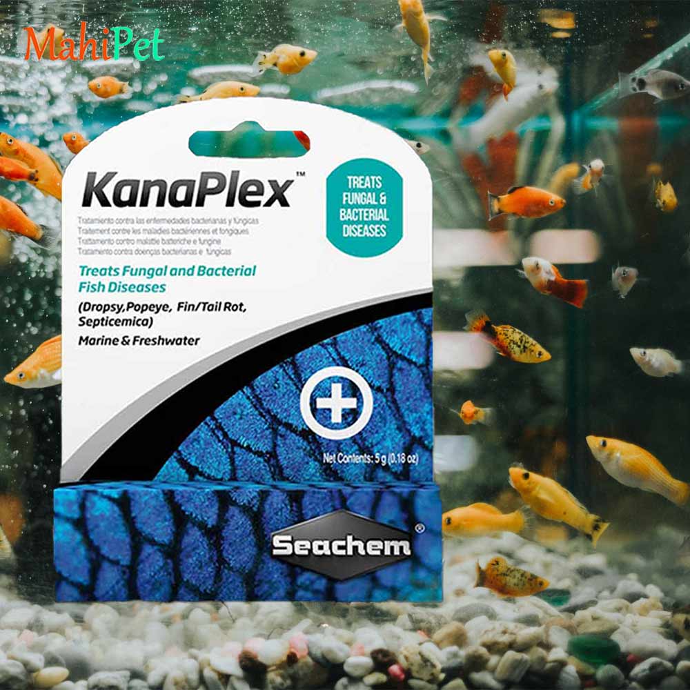 داروی آنتی بیوتیک کاناپلکس سیچم SEACHEM KanaPlex