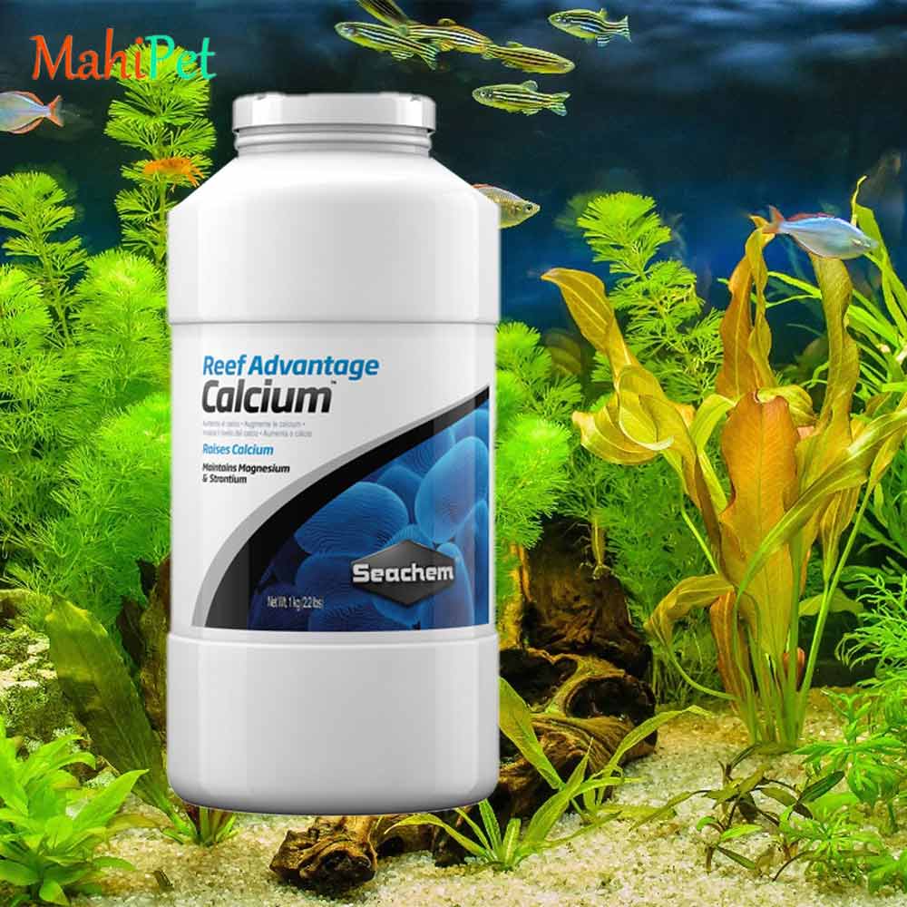پودر کلسیم آب شور سیچم seachem Reef Advantage Calcium