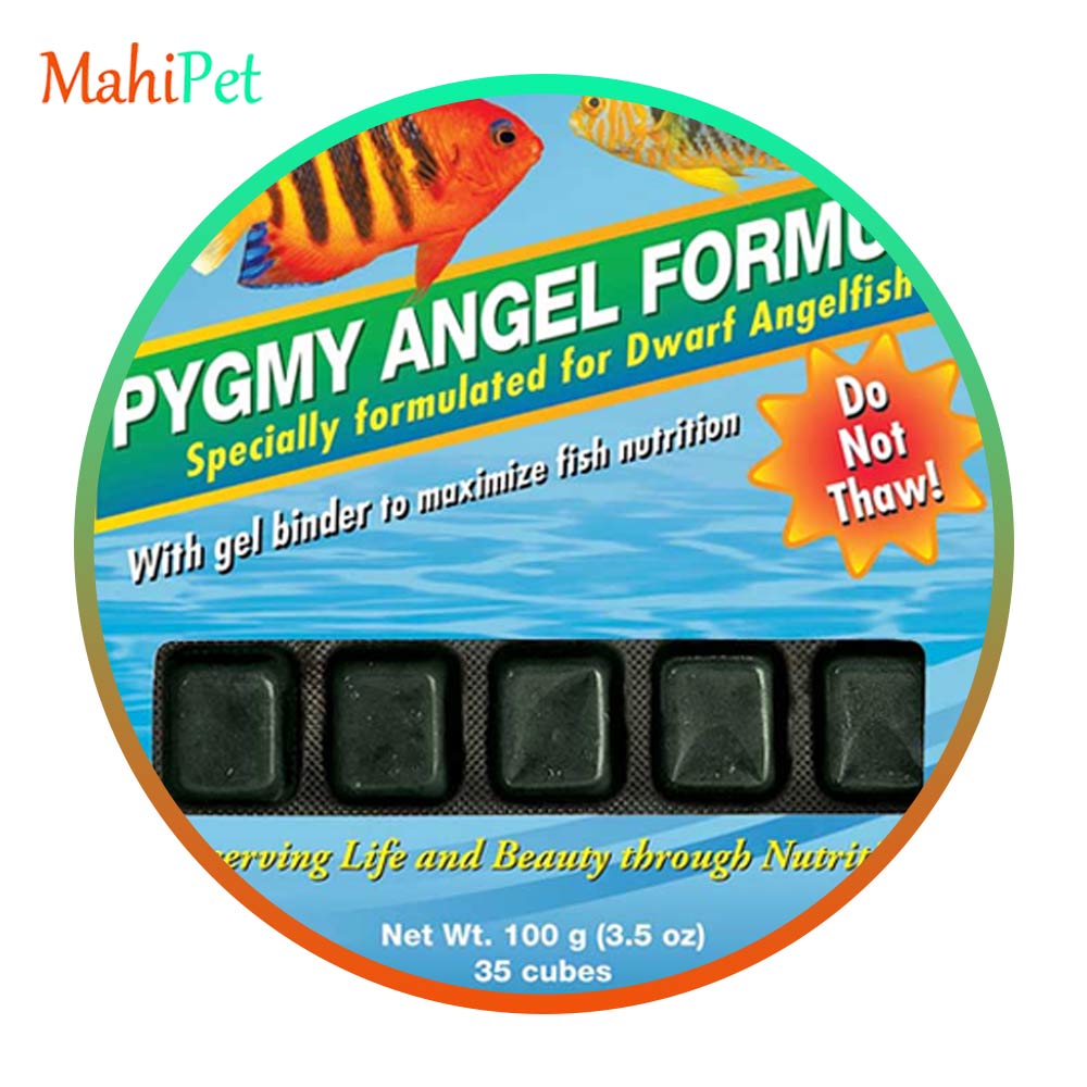 غذای منجمد مخصوص آنجل کوتوله اوشن نوتريشن Pygmy Angel Formula
