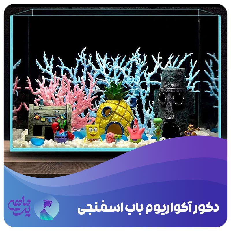 دکور آکواریوم باب اسفنجی