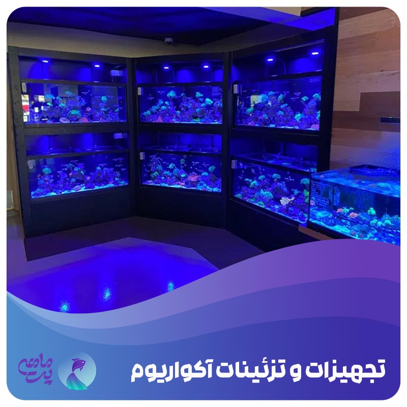 تجهیزات و تزیینات آکواریوم