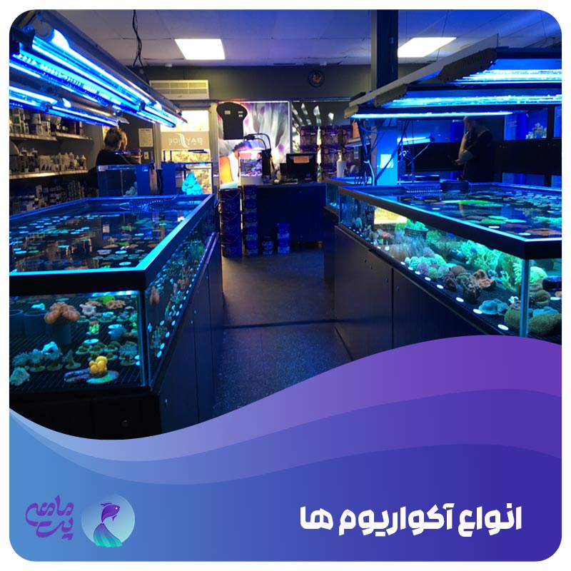 انواع آکواریوم
