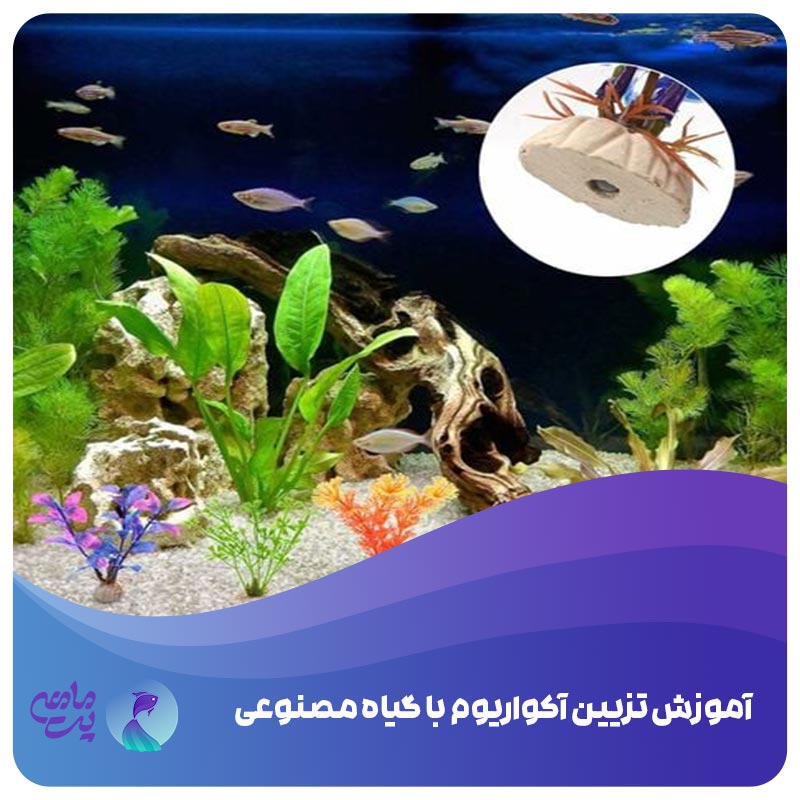 آموزش تزیین آکواریوم با گیاه مصنوعی