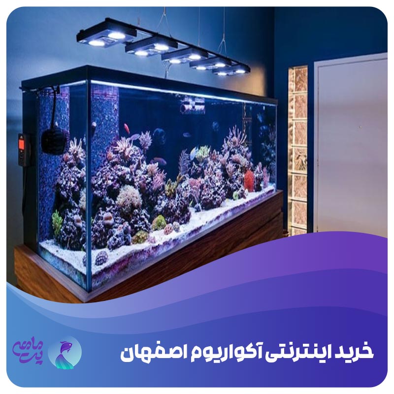 خرید اینترنتی آکواریوم اصفهان