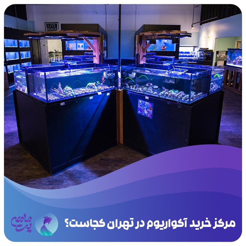 مرکز خرید آکواریوم در تهران کجاست