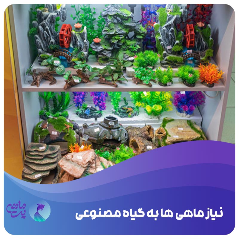 نیاز ماهی ها به گیاه مصنوعی