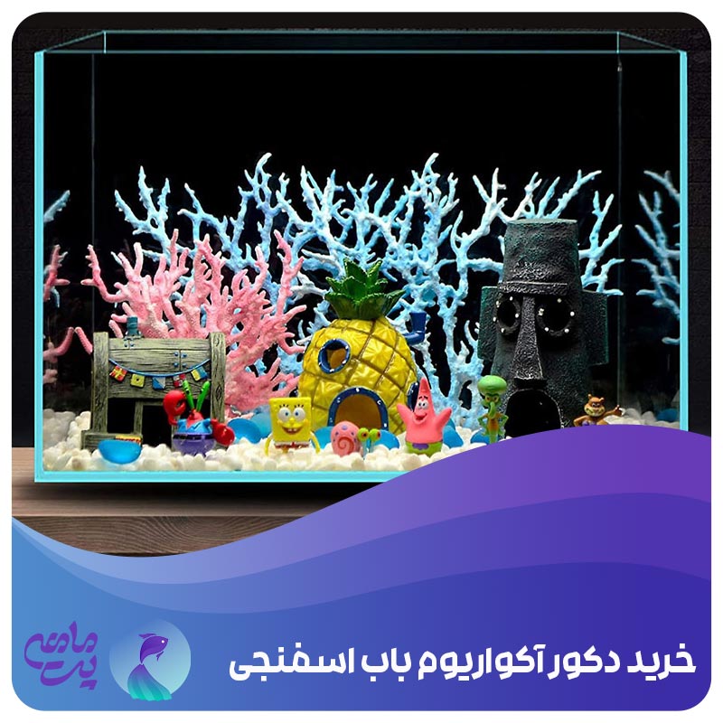 خرید دکور آکواریوم باب اسفنجی