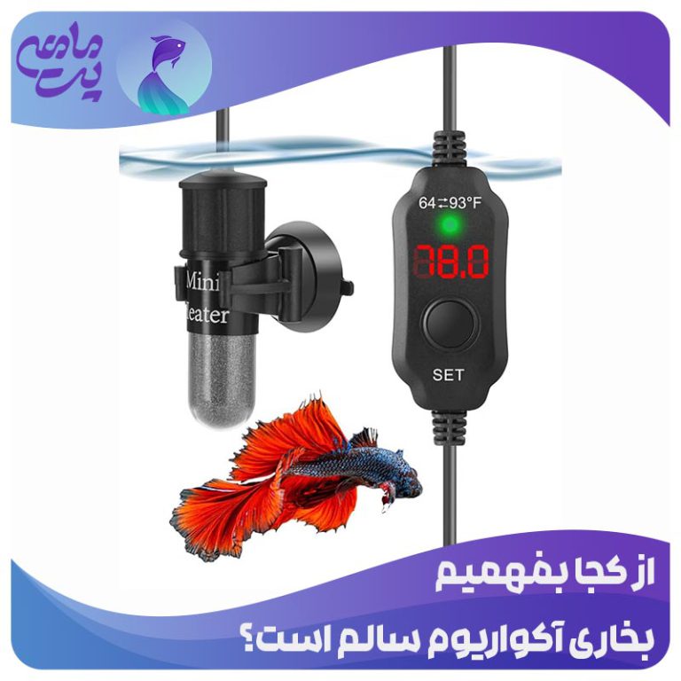 از کجا بفهمیم بخاری آکواریوم سالم است