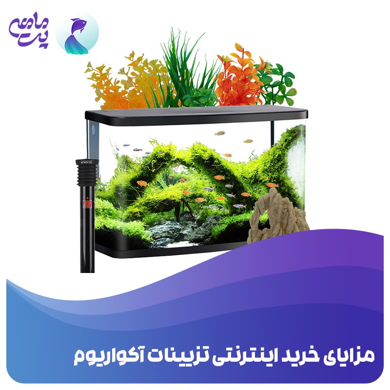 خرید اینترنتی تجهیزات آکواریوم