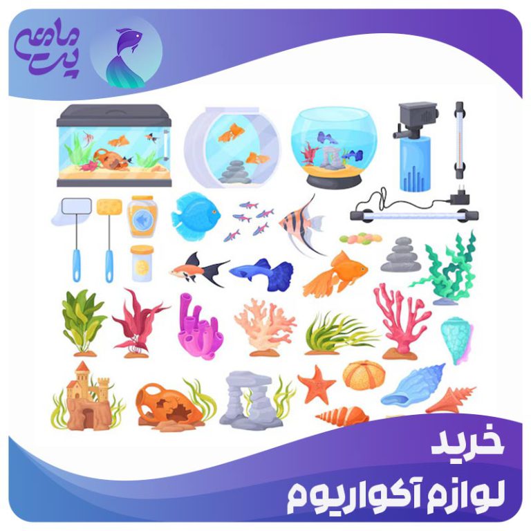 خرید لوازم آکواریوم