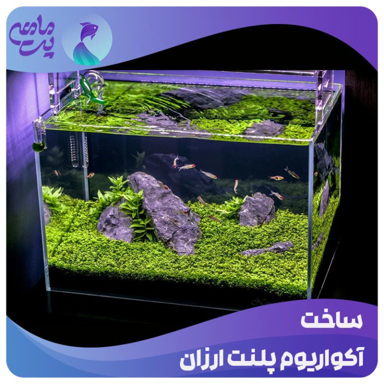 ساخت آکواریوم پلنت ارزان