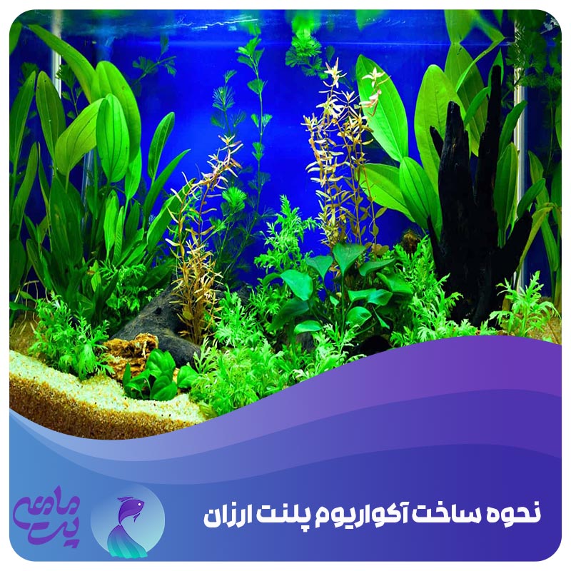 نحوه ساخت آکواریوم پلنت ارزان
