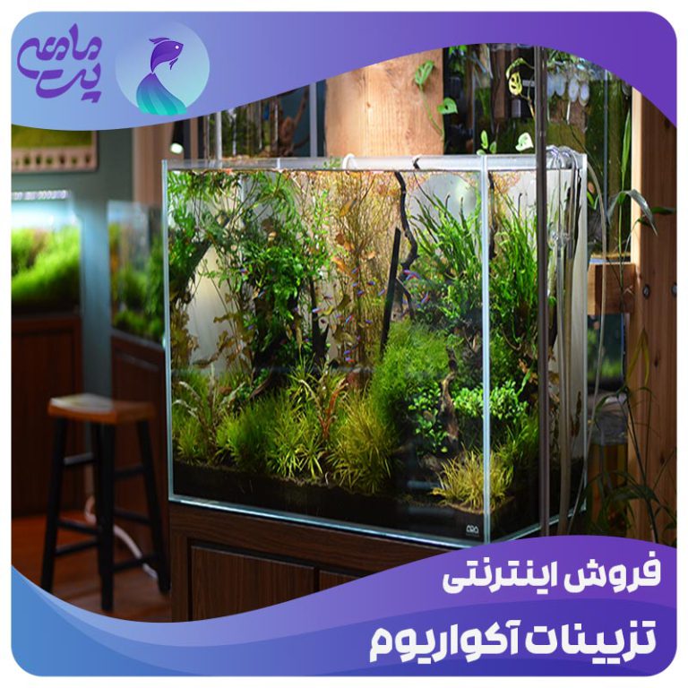 فروش اینترنتی تزیینات آکواریوم