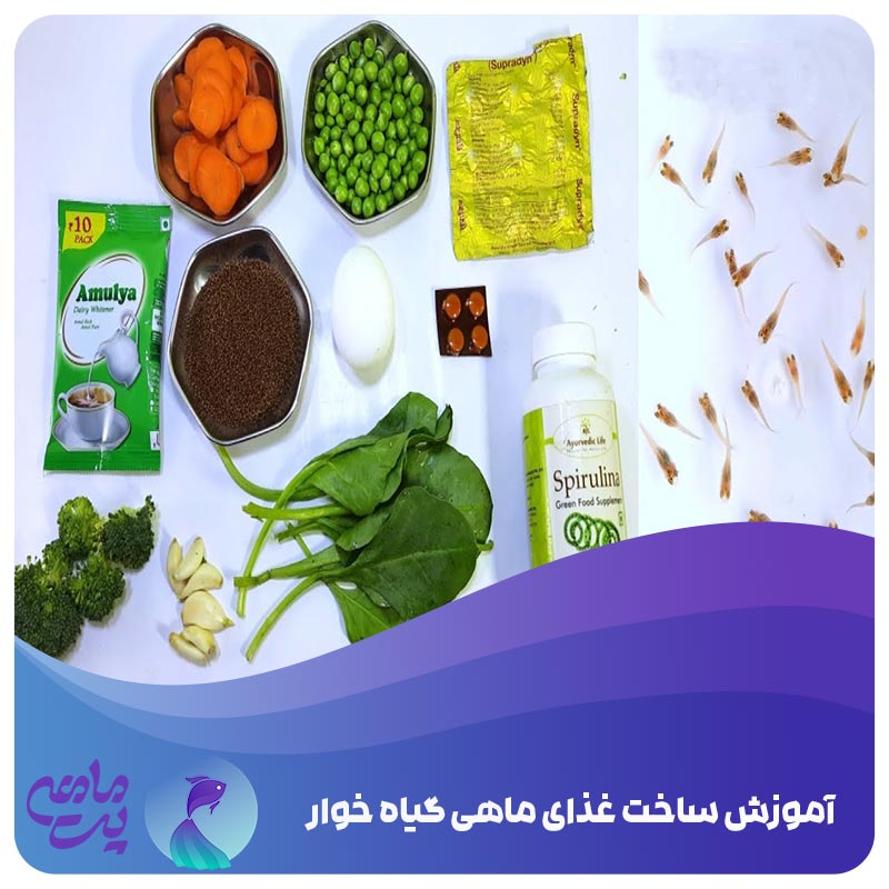 "آموزش