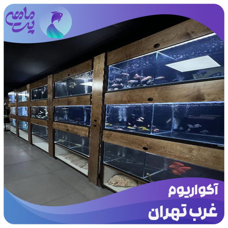 آکواریوم غرب تهران