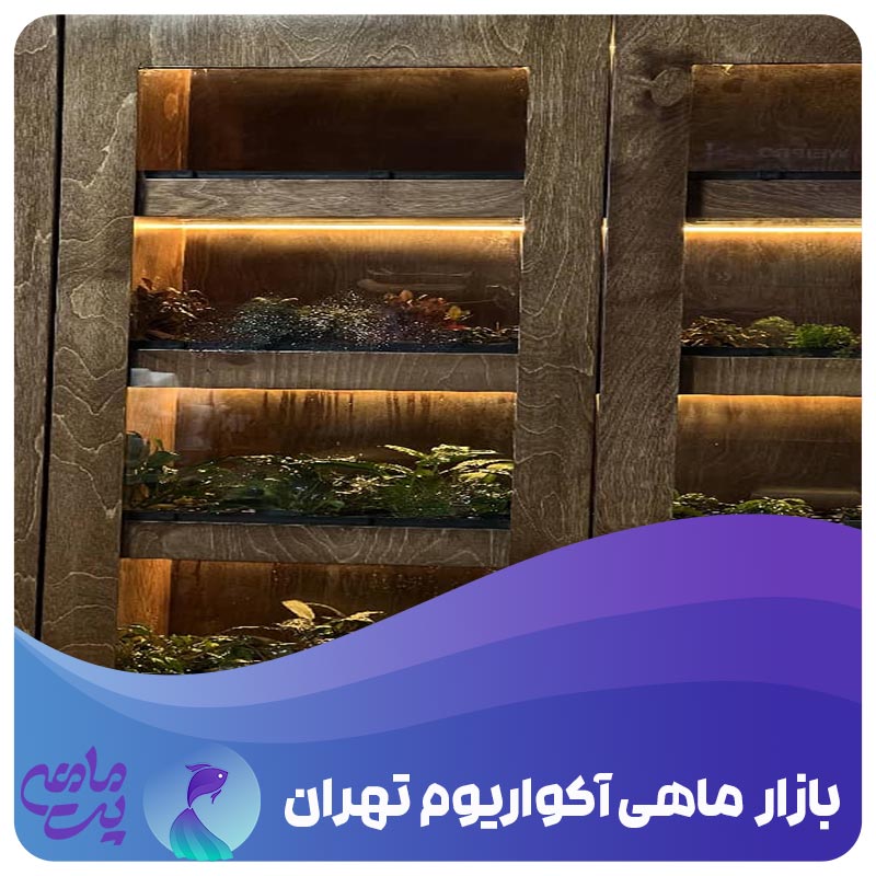 بازار ماهی آکواریوم تهران