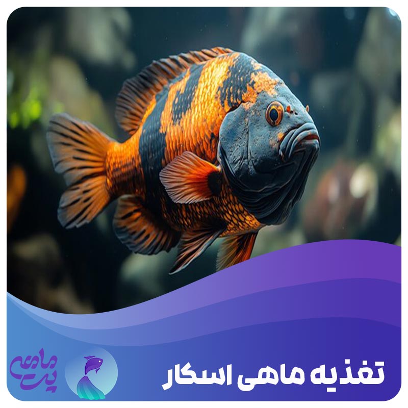تغذیه ماهی اسکار