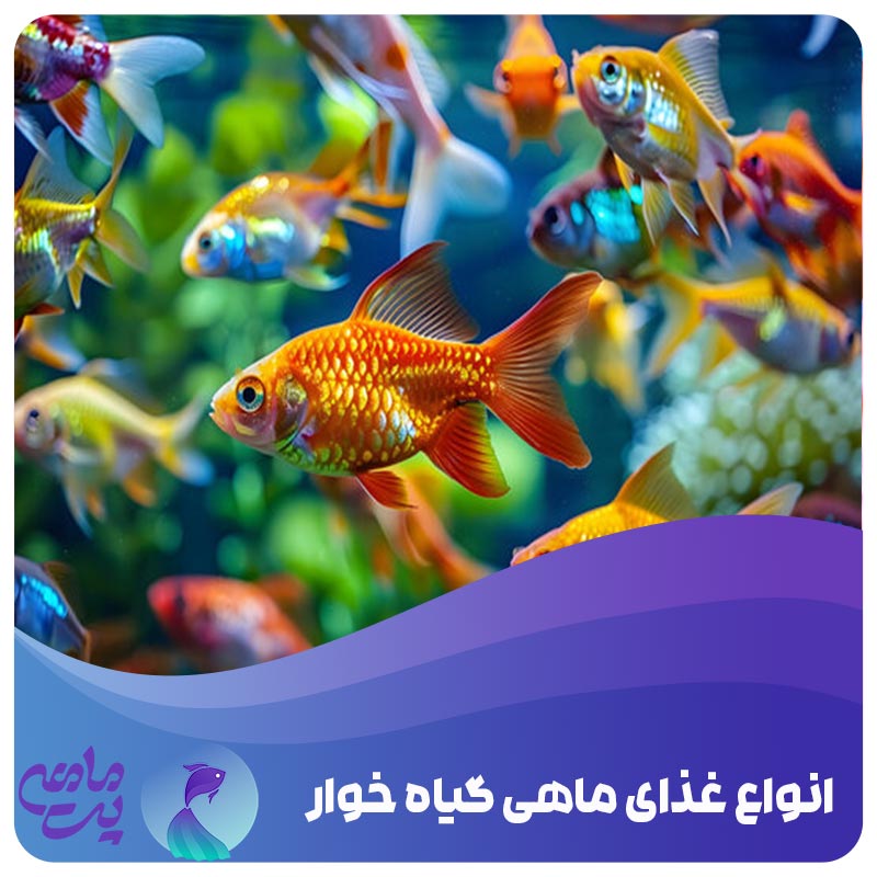 تغذیه ماهی گیاه خوار