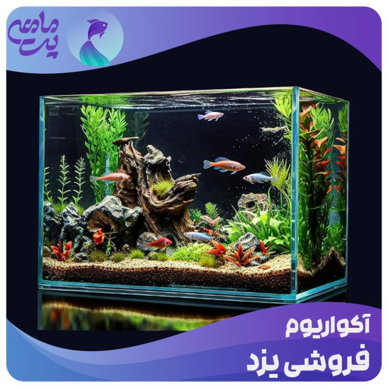 آکواریوم فروشی یزد