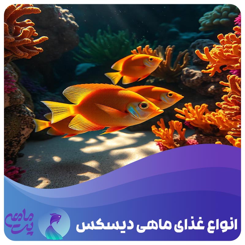 انواع غذای ماهی دیسکس