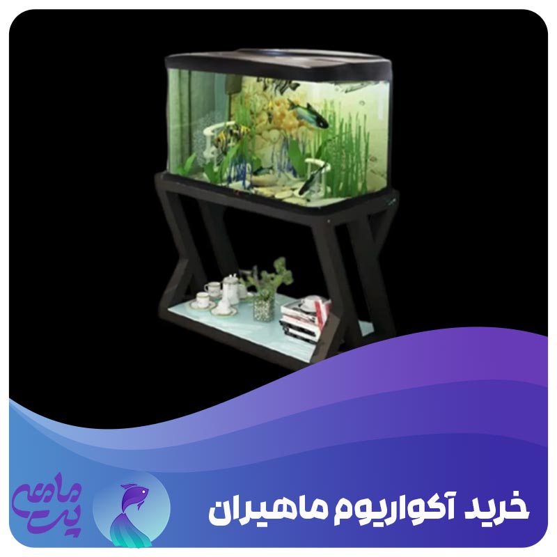 خرید آکواریوم ماهیران