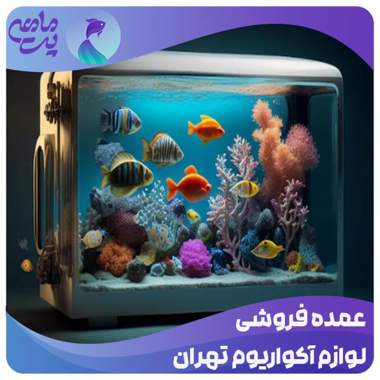 عمده فروشی لوازم آکواریوم تهران