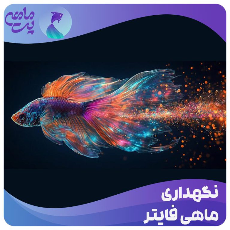نگهداری ماهی فایتر