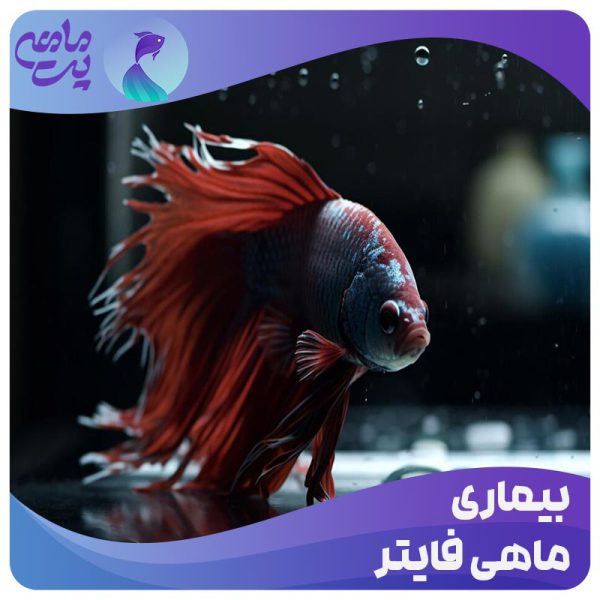 بیماری ماهی فایتر