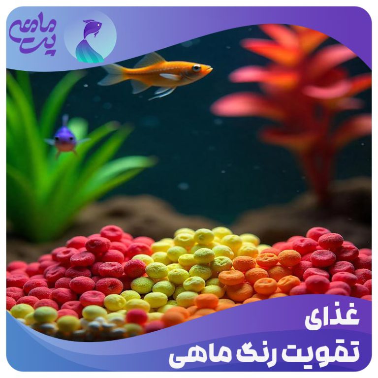 غذای رنگ ماهی