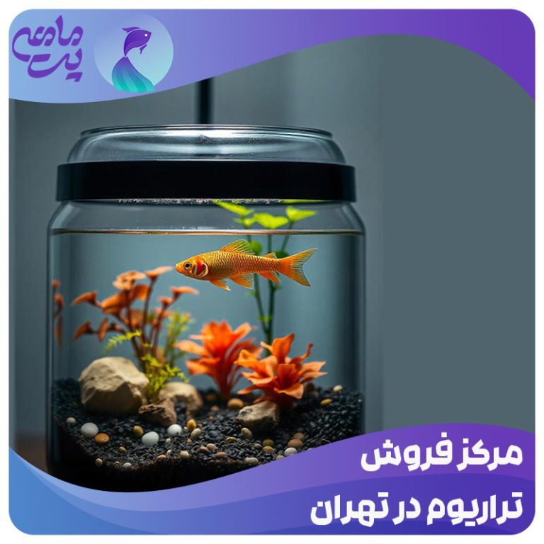مرکز فروش تراریوم تهران