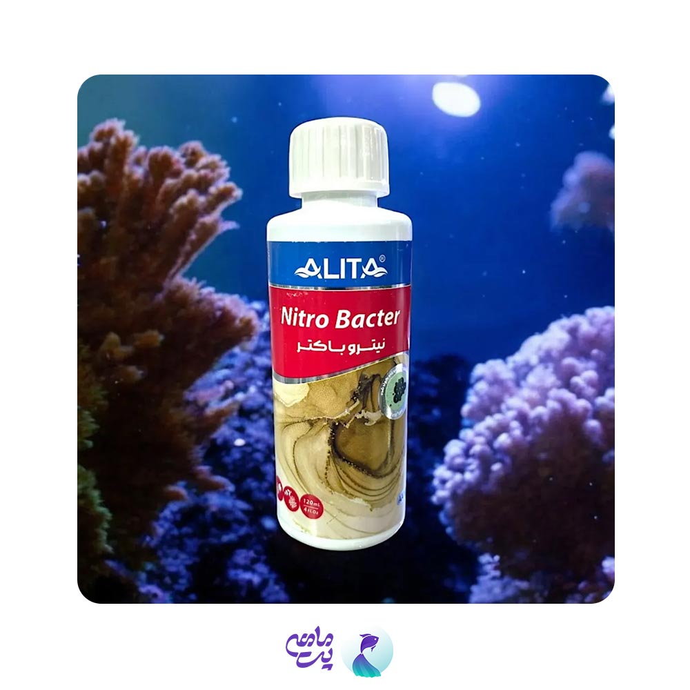 محلول باکتری زنده آب آکواریوم آلیتا Nitro Bacter حجم 120 میلی لیتر