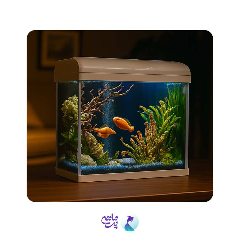 آکواریوم دلسا K800 بدون پایه