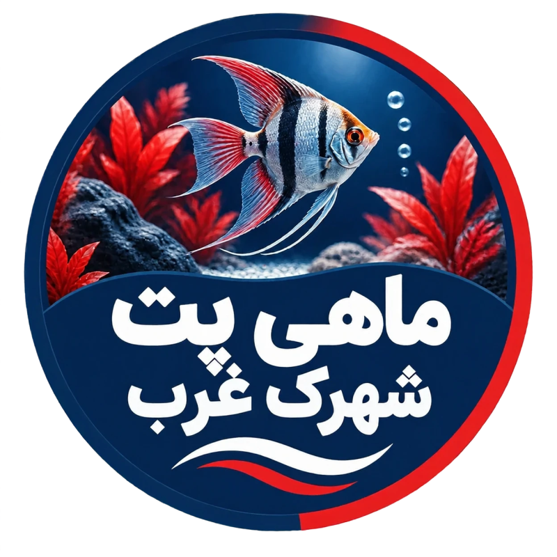 ماهی پت شهرک غرب