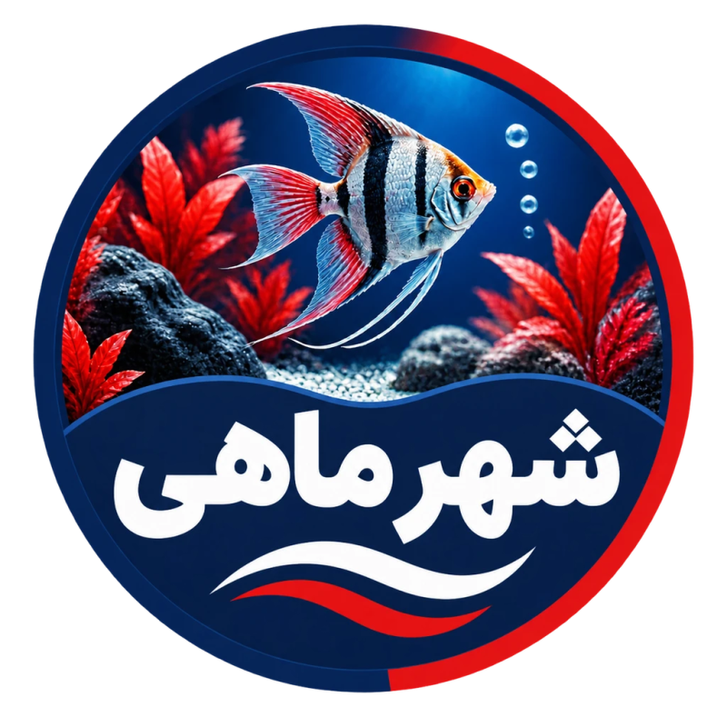 شهر ماهی